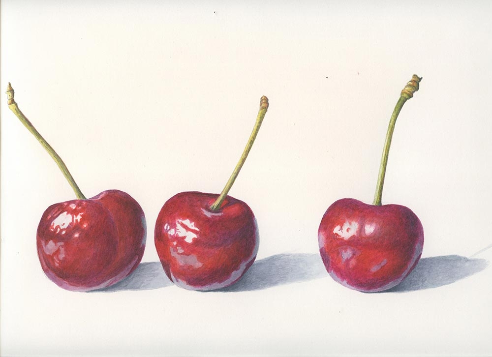 Shanelle Deater, Sweet Cherry ("Prunus Avium"), watercolor, 2019.