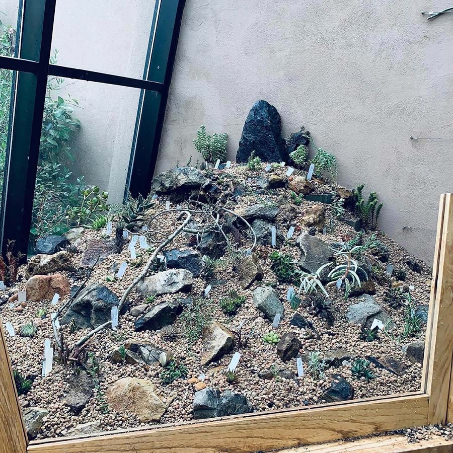 Cactus and Succulent House