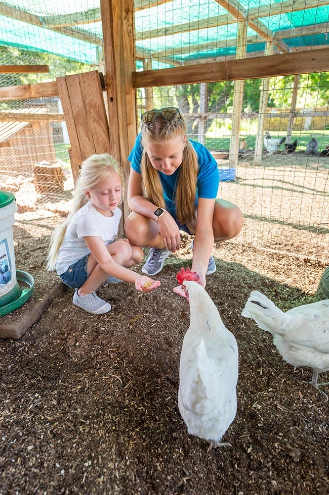 Chatfield Farms camp
