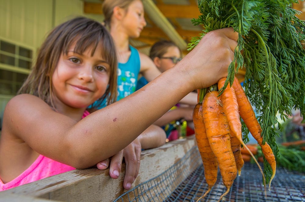 Chatfield Farms camp