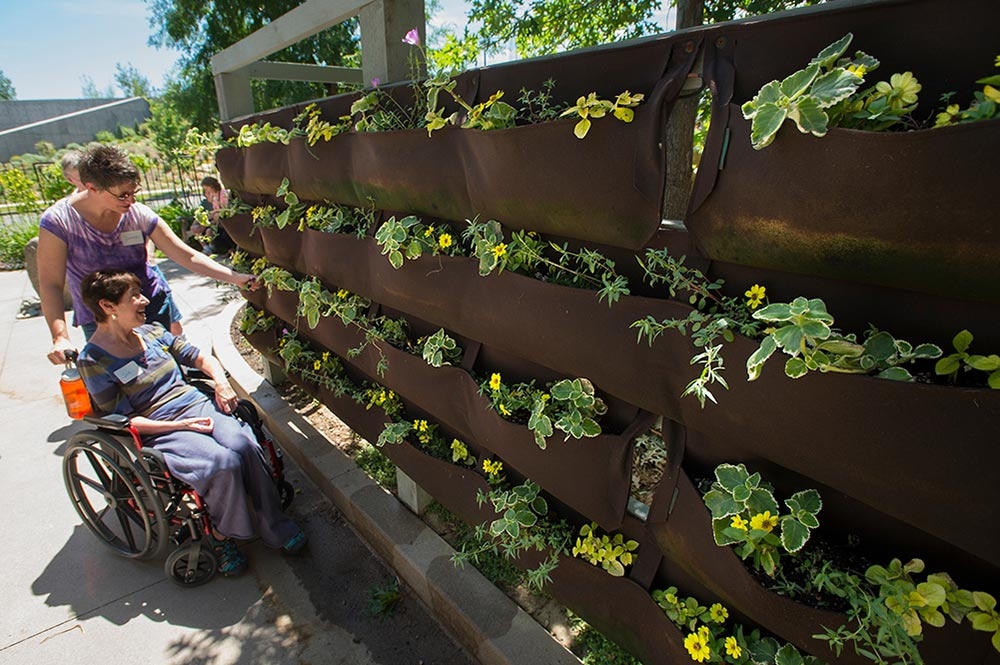 Therapeutic horticulture