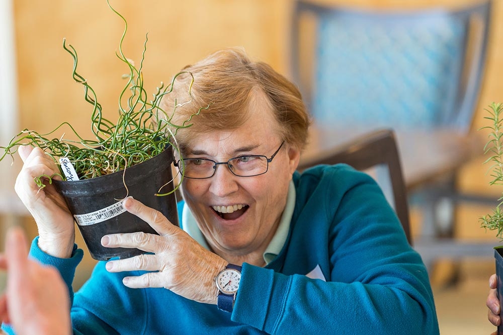 Therapeutic horticulture