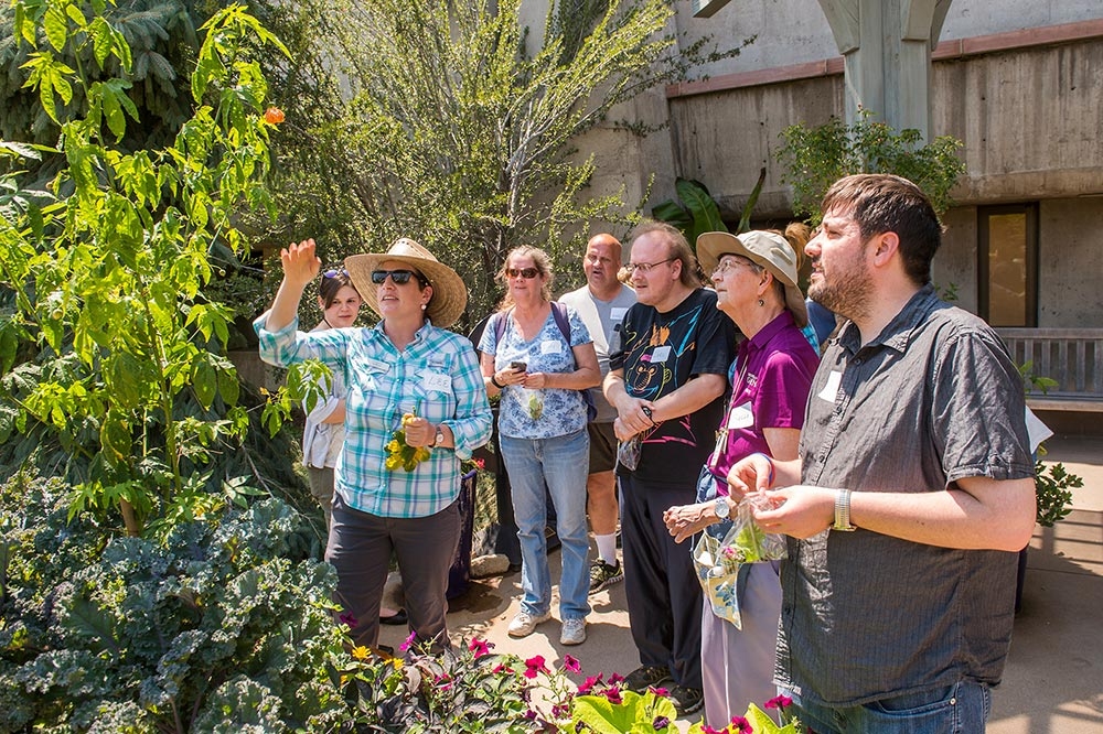 Therapeutic horticulture