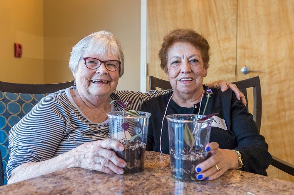 Therapeutic horticulture