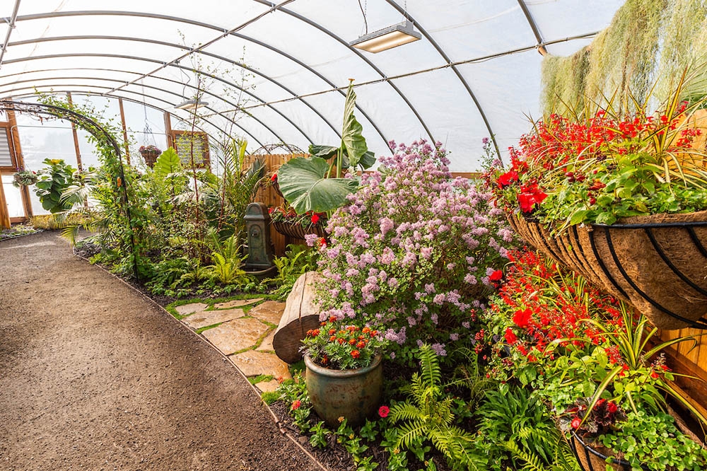 butterfly house garden
