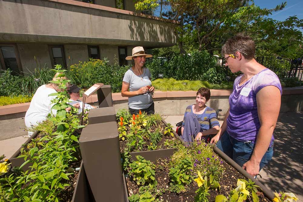 York Street Sensory Garden