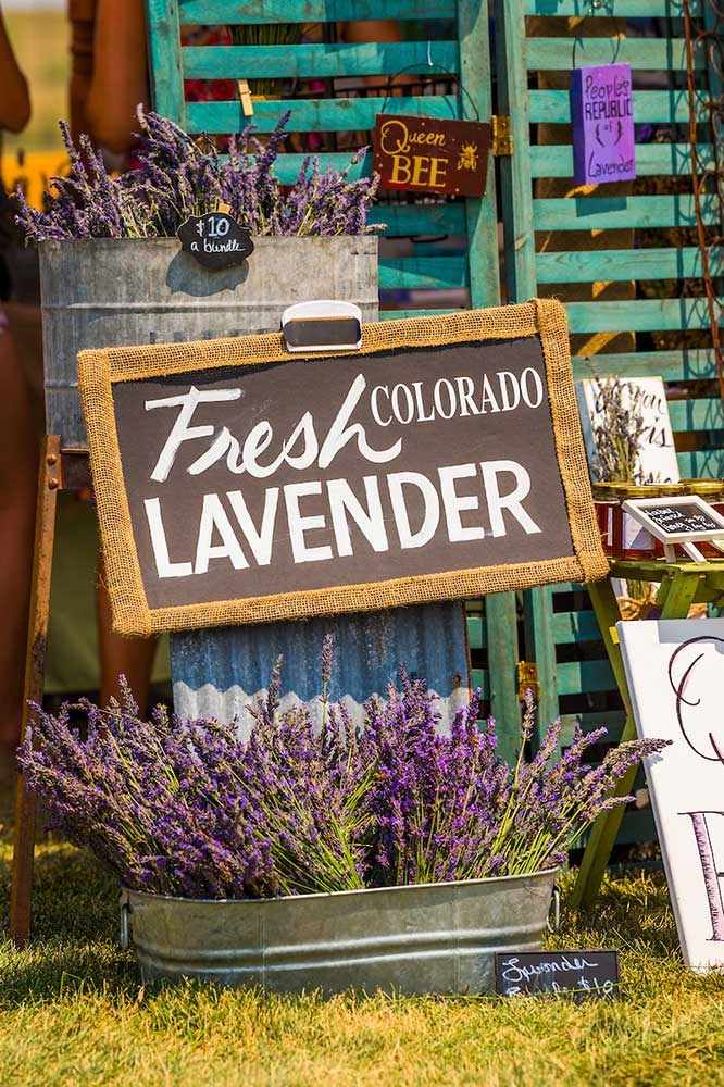 lavenderfestivalproducts