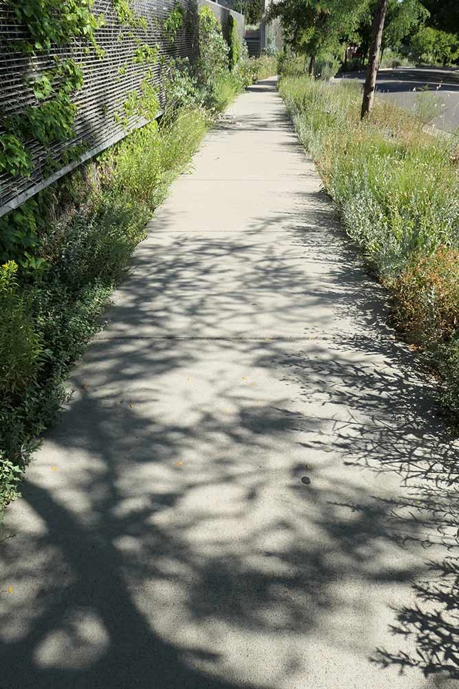 Josephine Street streetscape