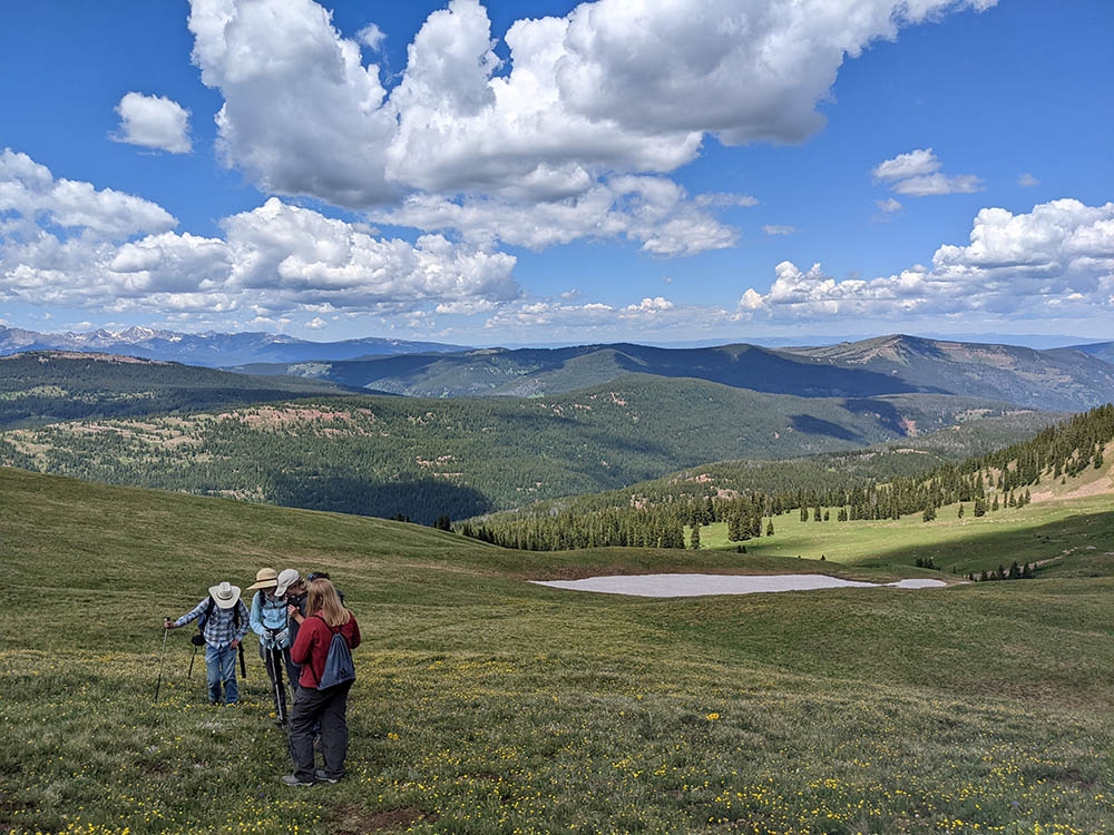 People walking in the mountains