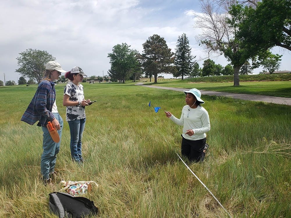 Interns collecting plants