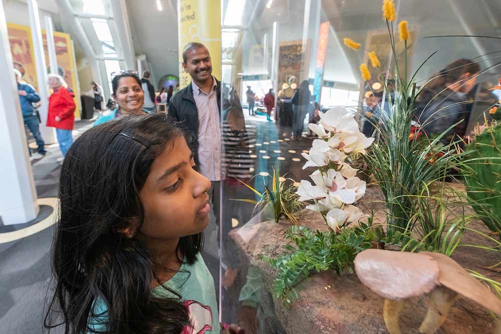 Family in the Science Pyramid. The child is looking at a flower in a display case. 