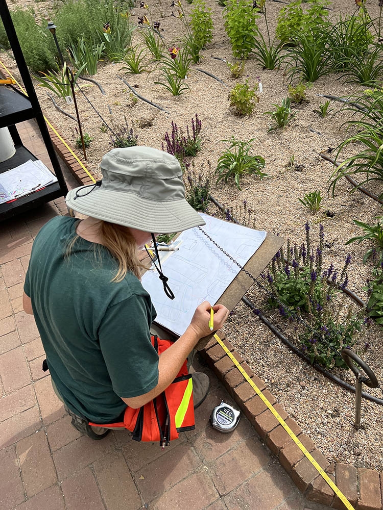 recording plant mass measurements