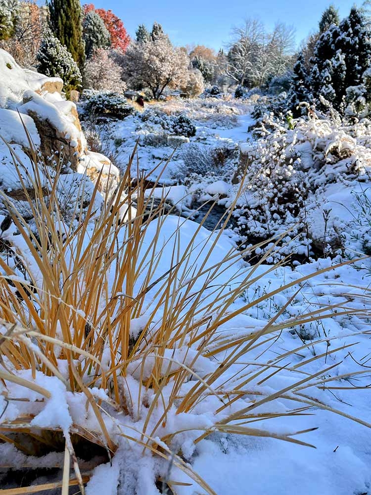 Vistas like this one on the southern slope of zthe Rock Alpine Garden transport us to wild places.