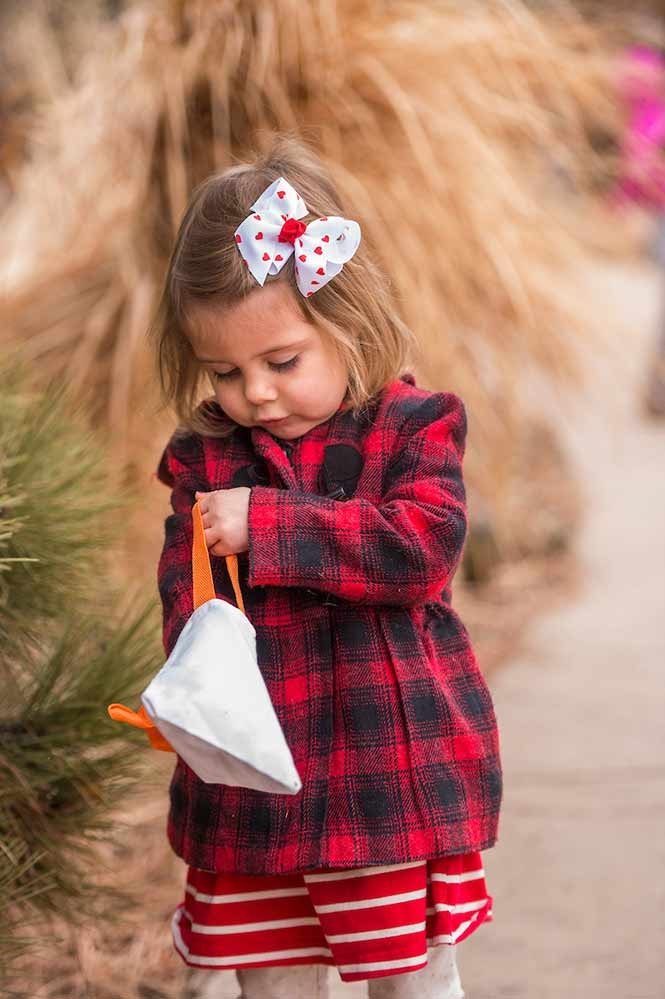 Toddler and Preschool Programs gallery