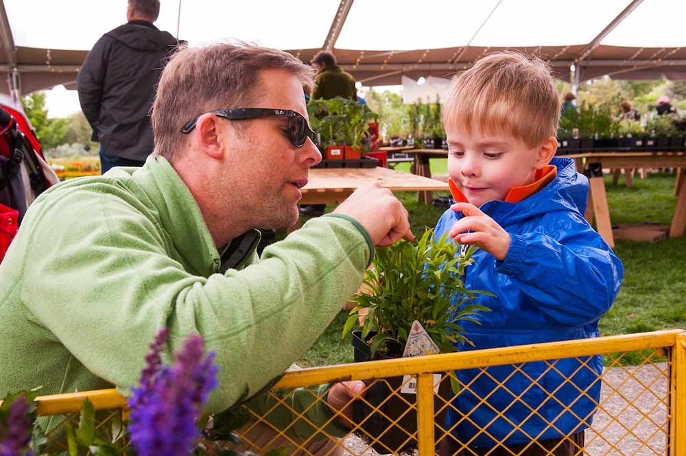 Adult and toddler at Spring Plant Sale, pointing at plant