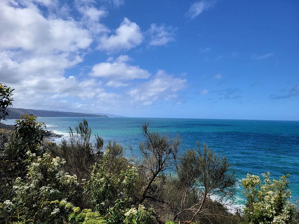 Australian South Coast