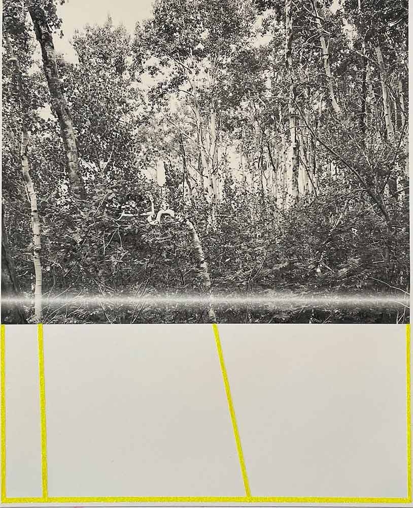 Kiki Gaffney, “Nexus Study II,” photograph, acrylic and glitter, 2022.