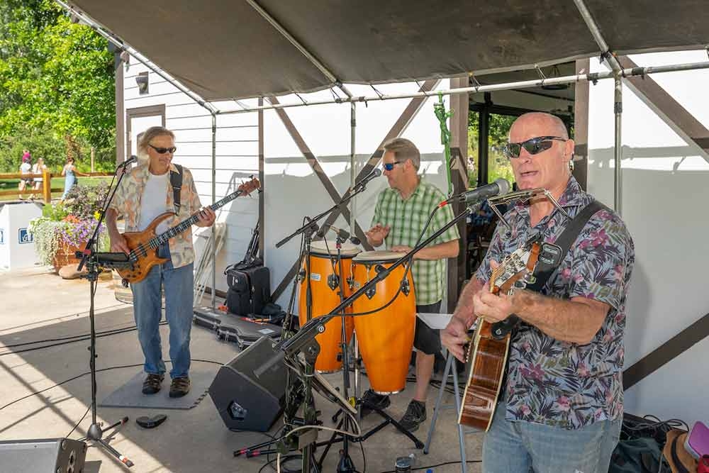 Musicians at Lavender Festival