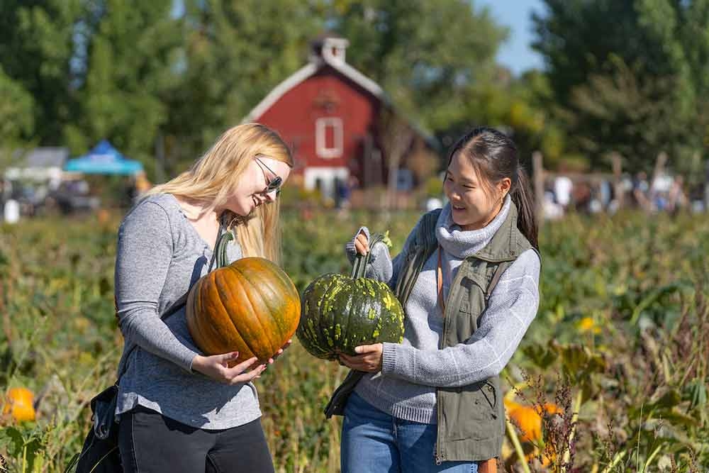 Two people holding pumpkins at Pumpkin Festival