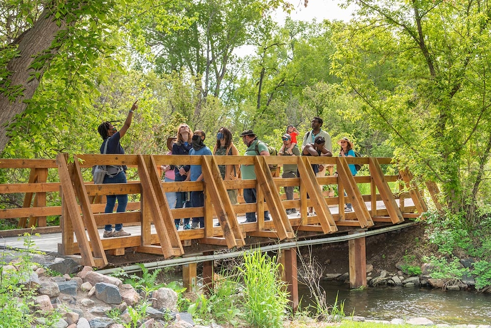 birdwatchers on bridge