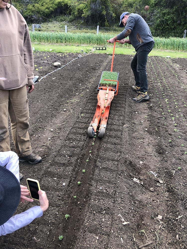 paper pot transplanter