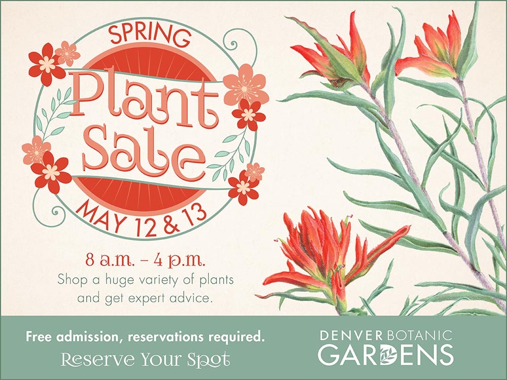 Spring plant sale ad