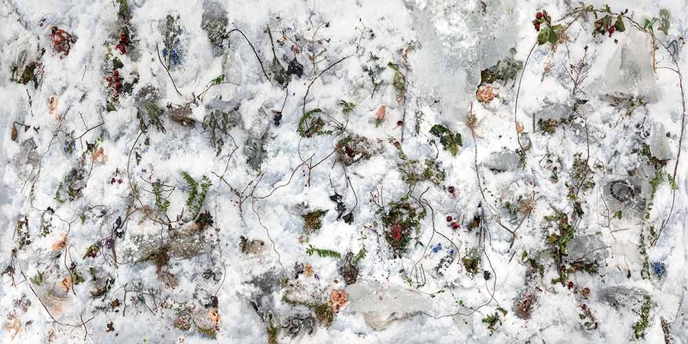 Tanya Marcuse, "Woven No. 31," pigment print, 2018.