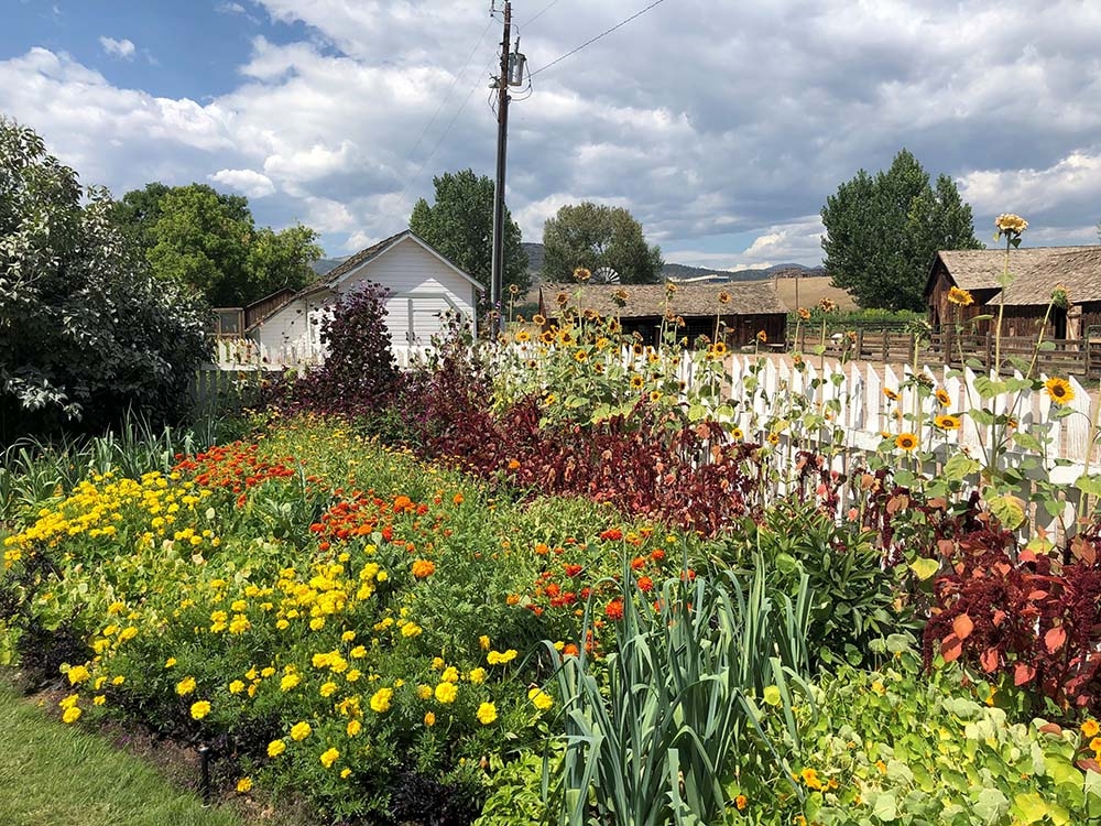 Hildebrand Ranch Front Garden Flowers