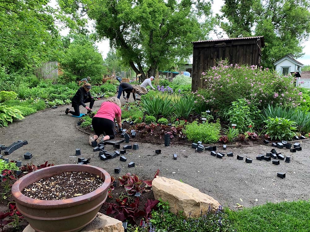 Woodshed Garden Planting 