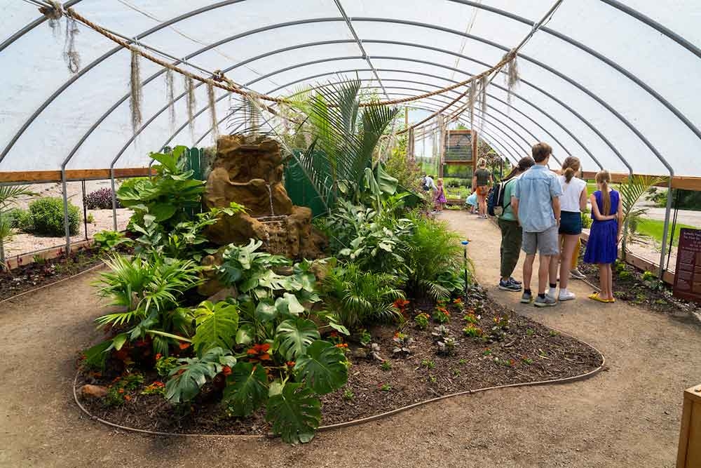 Butterflies at Chatfield Farms