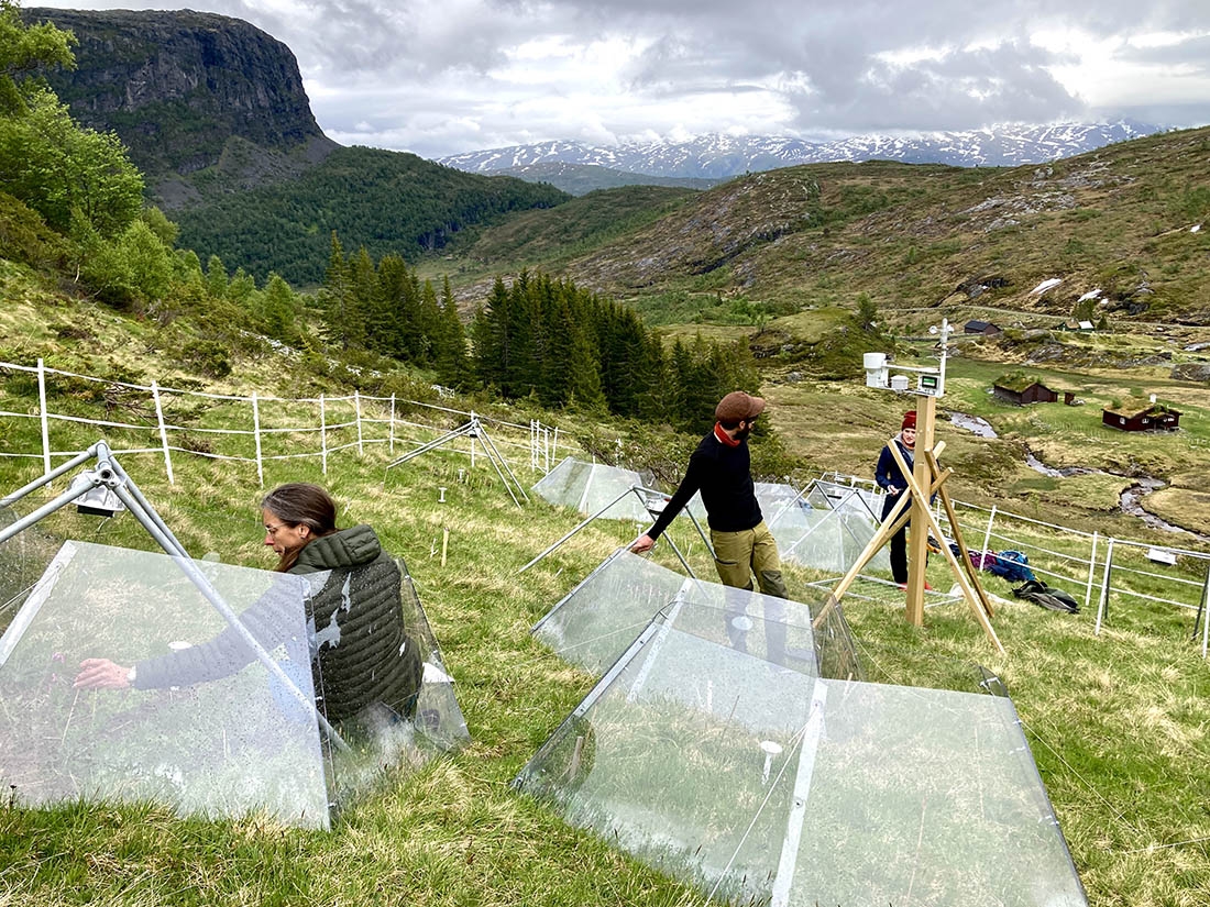 Alex Seglias in Norway