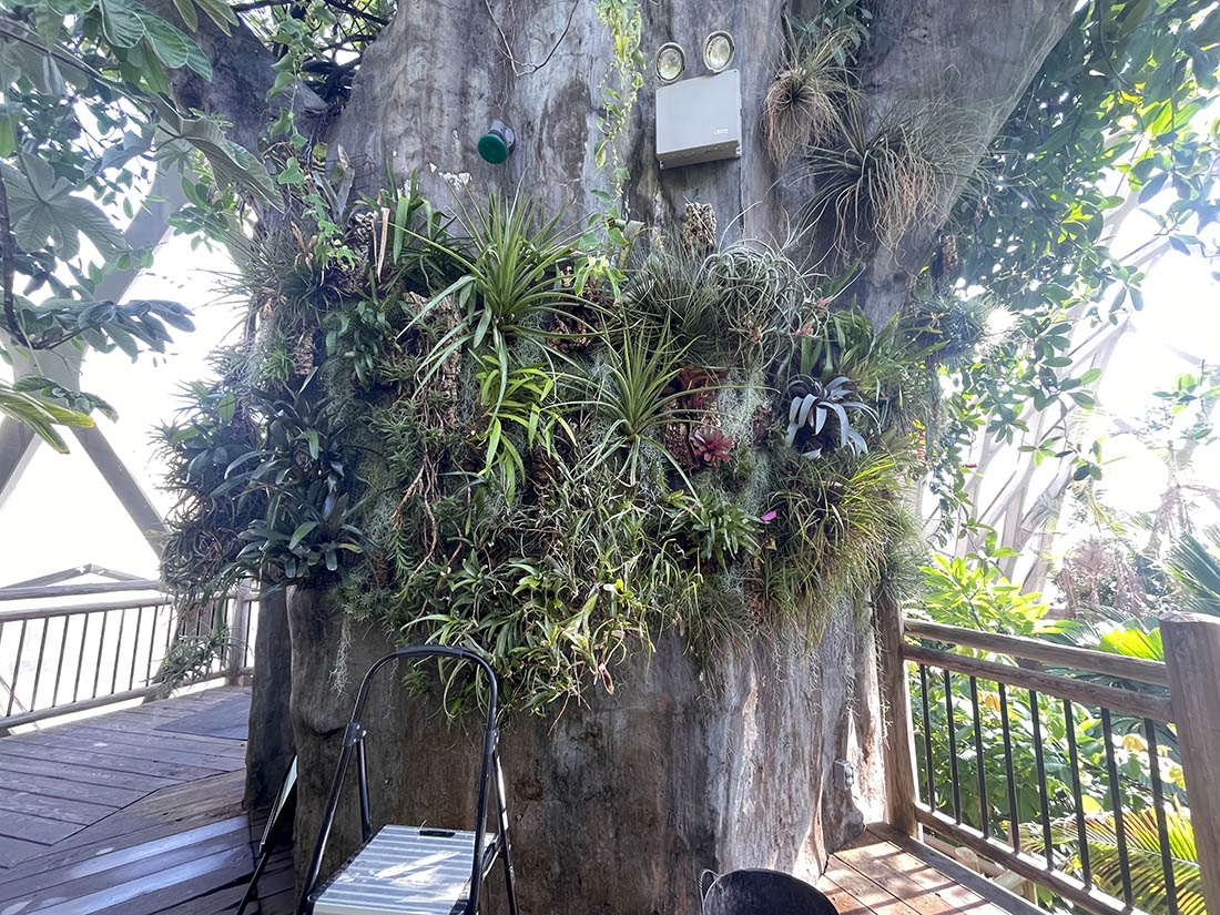 Completed Treehouse display