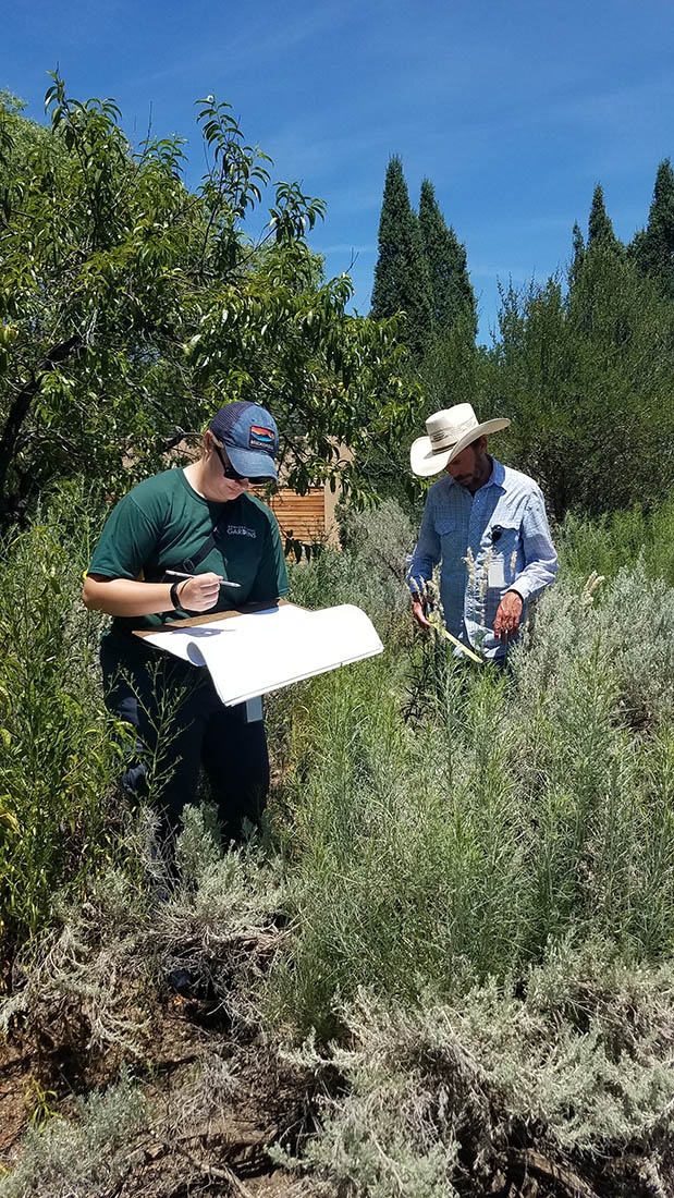 Mapping in the Sacred Earth garden bed