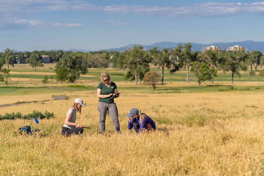 Golf course restoration project