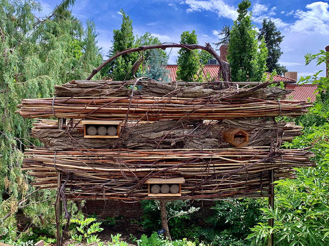 hollows and crevices or plant material make nesting places