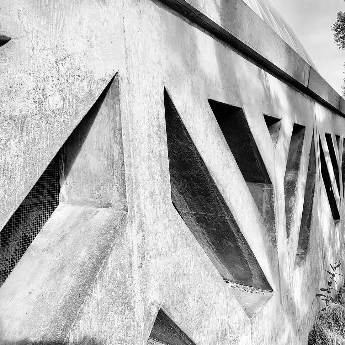 A stemmed floral pattern repeated throughout the complex