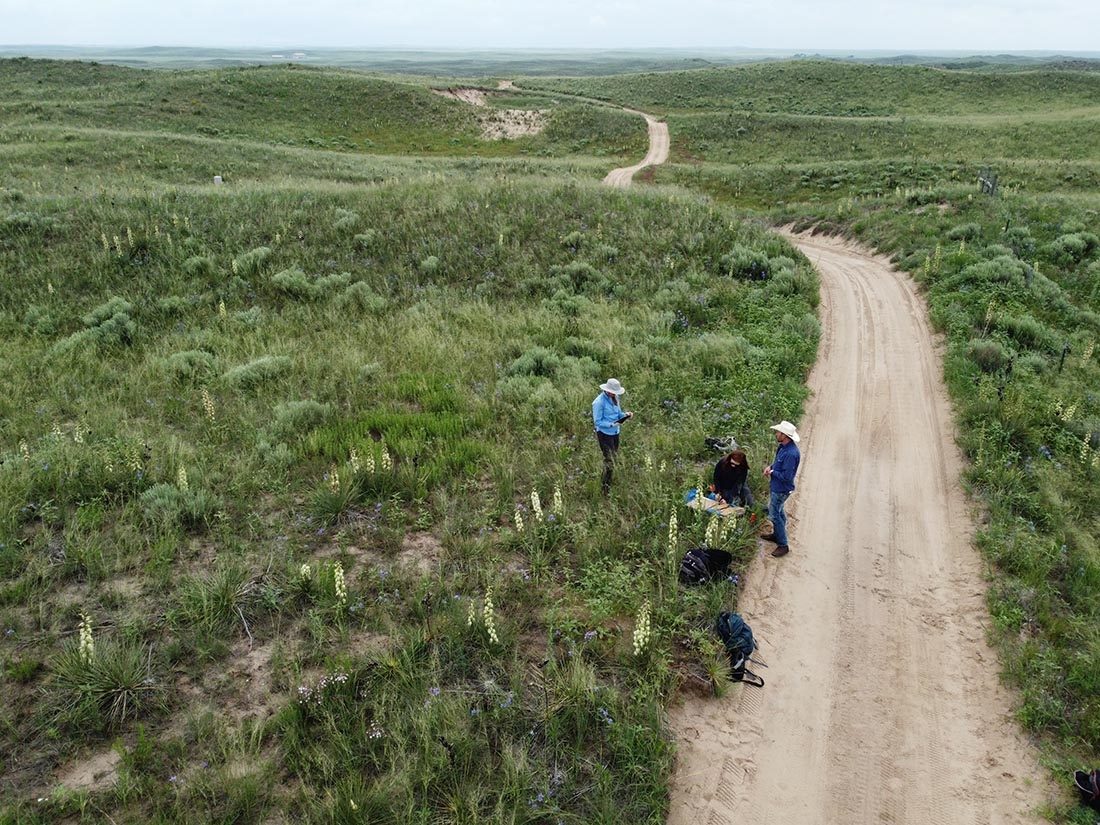 Drone image of Ballyneal Golf Course