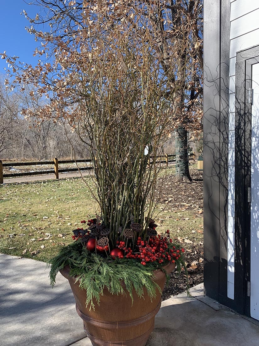 winter planter with red berries