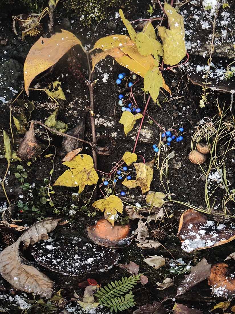 Detail of a Tanya Marcuse artwork