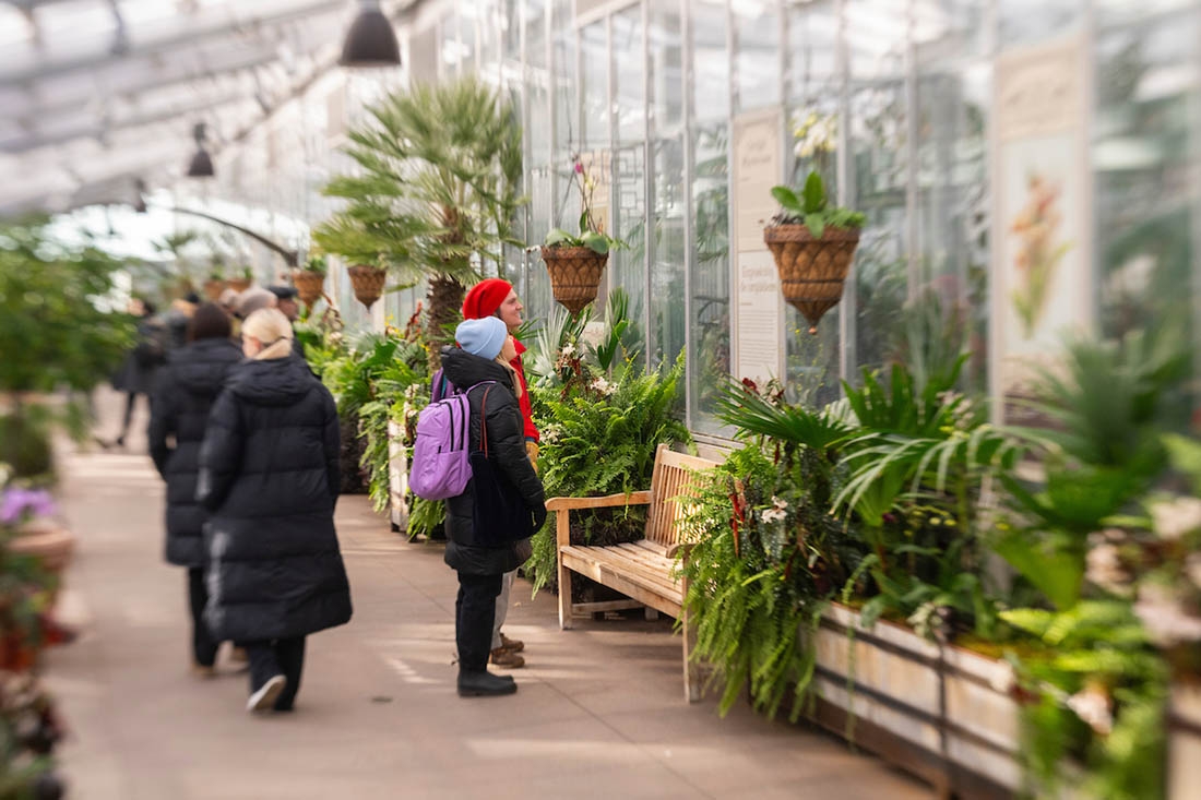 Visitors in the Orangery