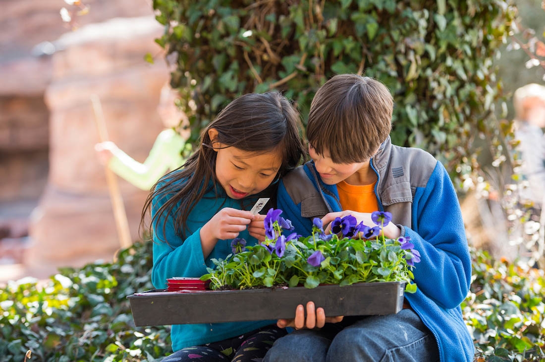 two children examine tray of plants