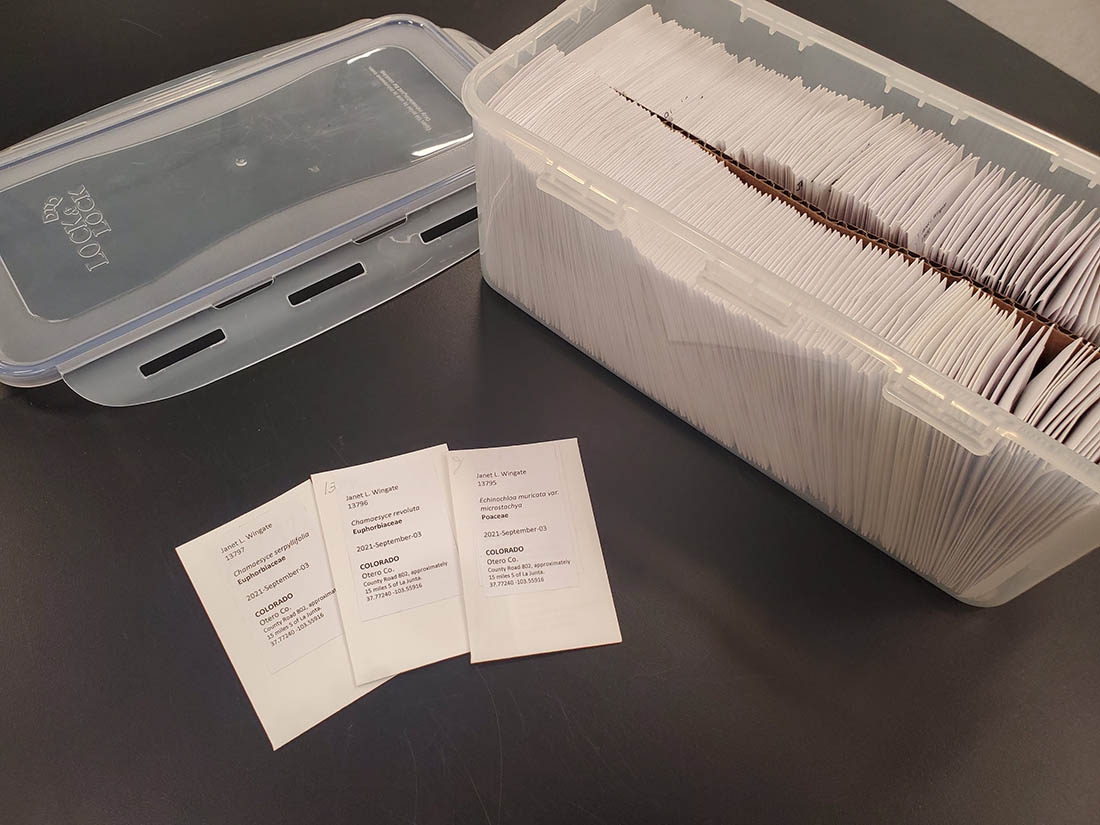preserved plant tissue samples