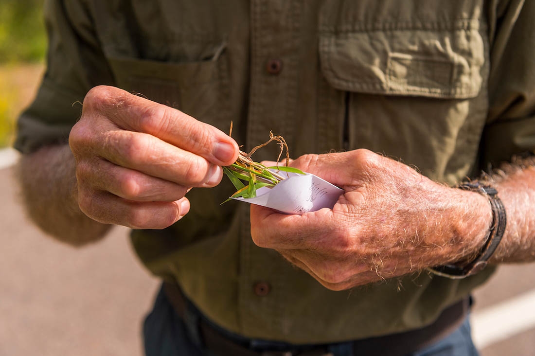 tissue sample in the field