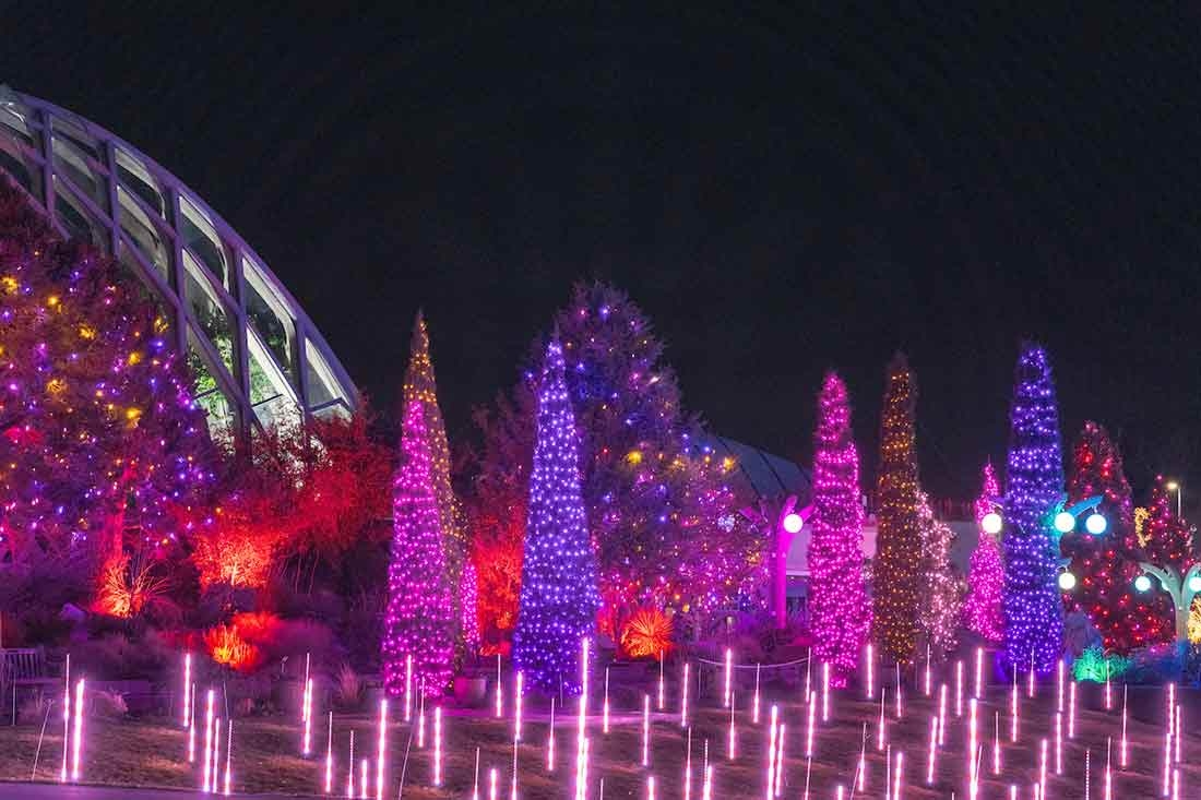 Blossoms of Light lights with the conservatory in the background