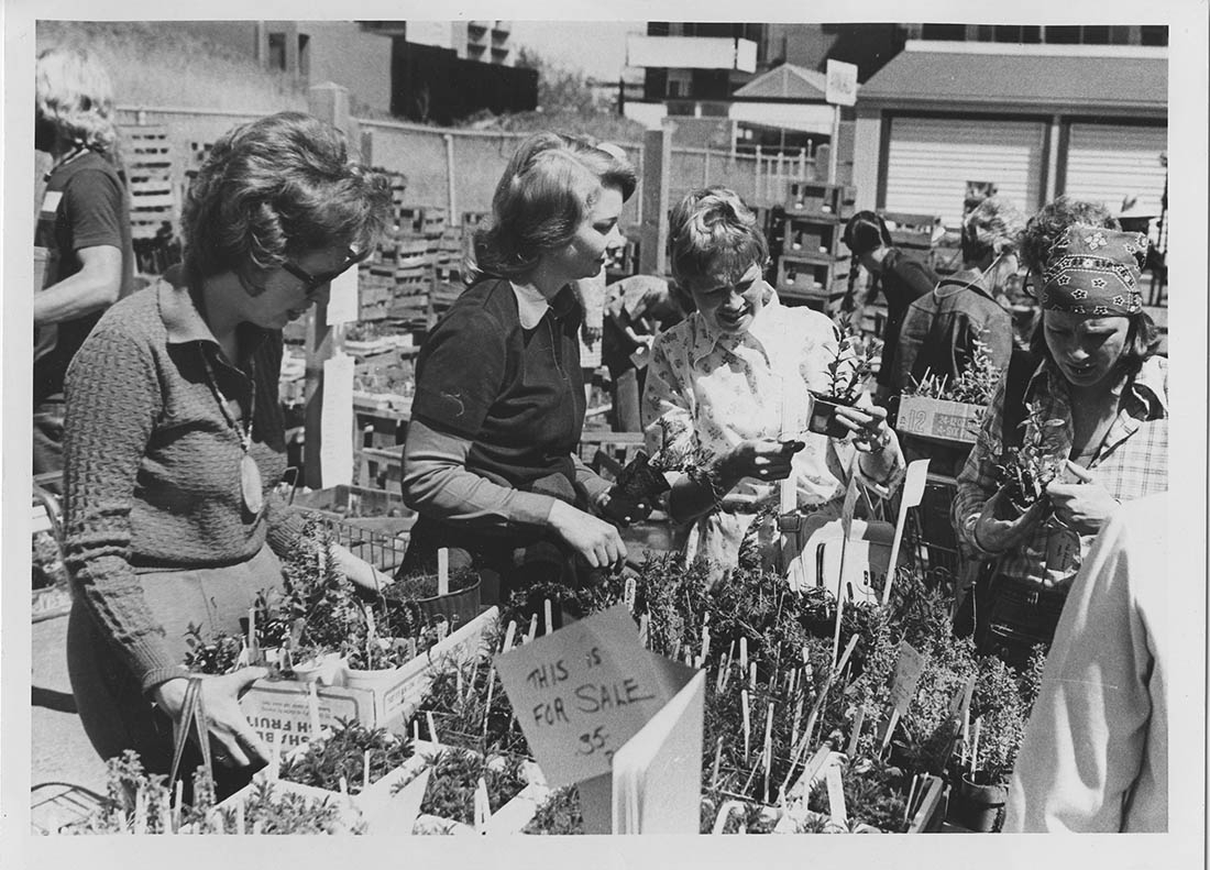 black and white photo plant sale in 1975