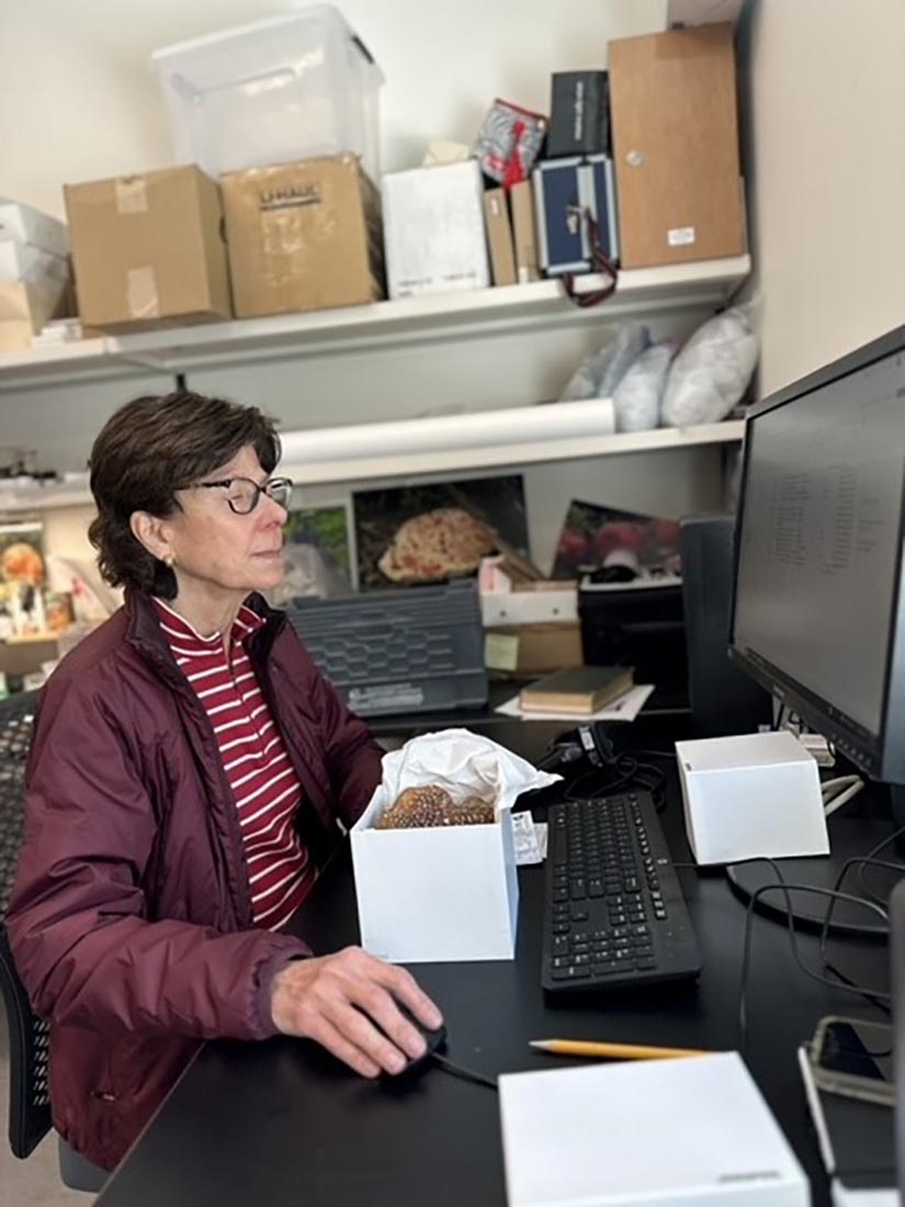 Woman at computer with box containing fungal specimen