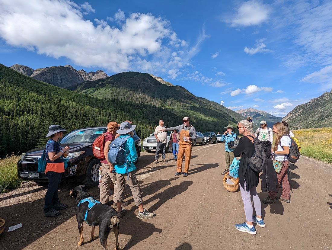 Research staff guiding volunteers