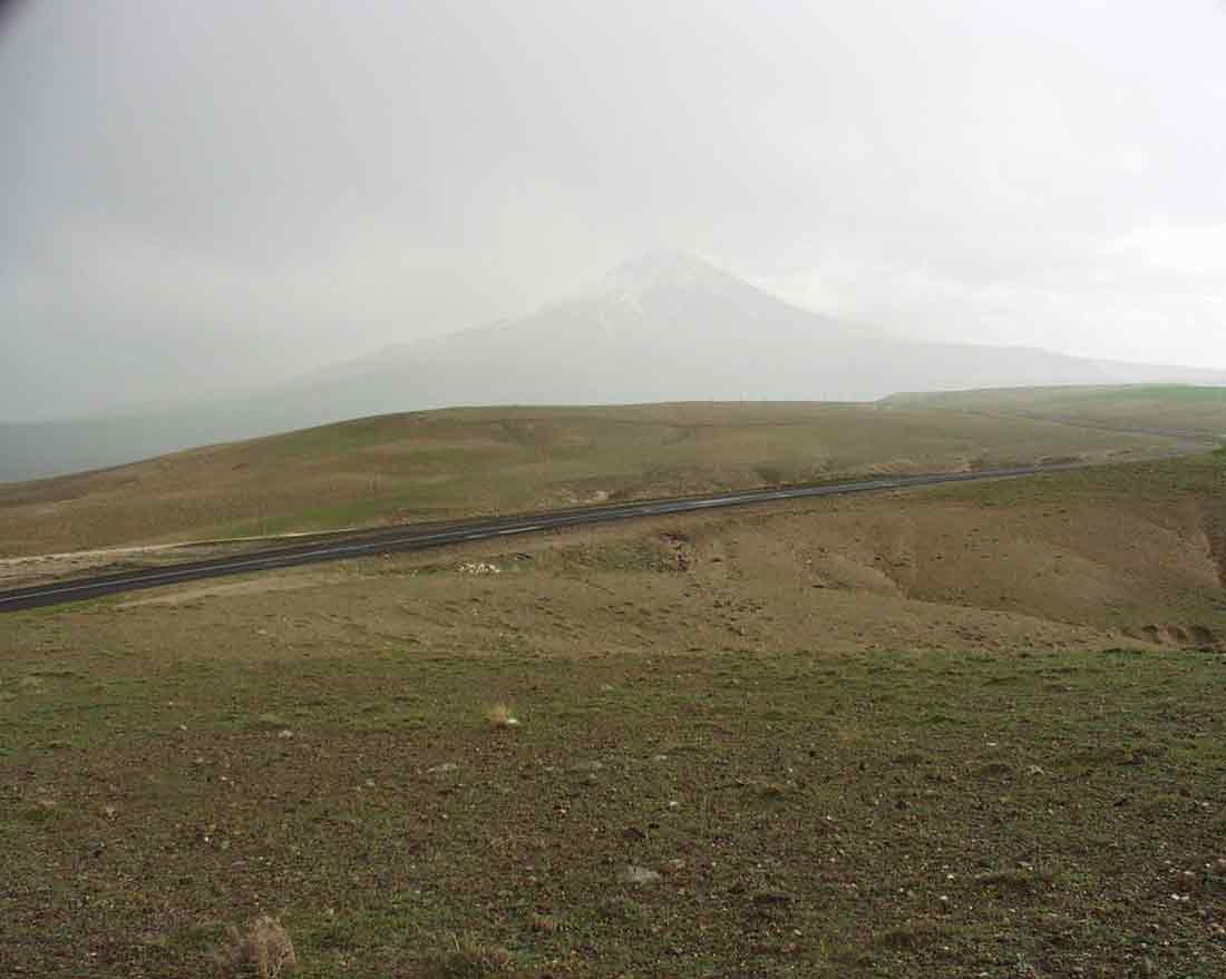 Central anatolian steppe with I sprengeri