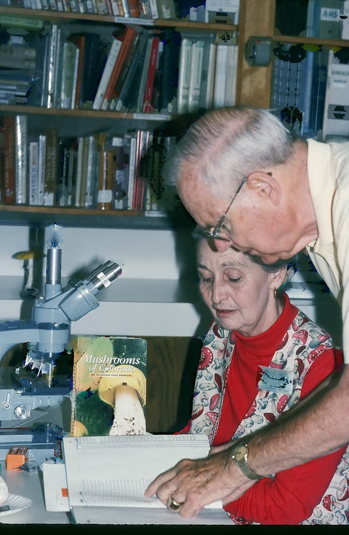 Two people examine a book