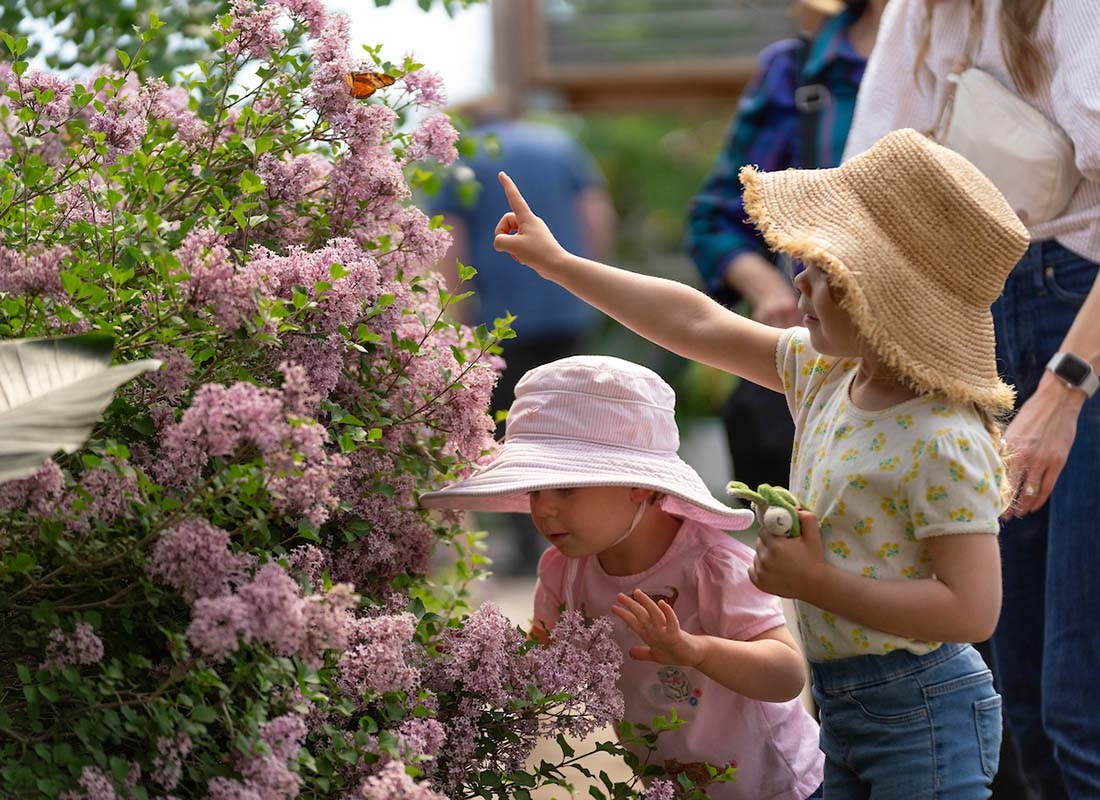 Two children in hats, one pointing at a butterfly and the other smelling a butterfly bush